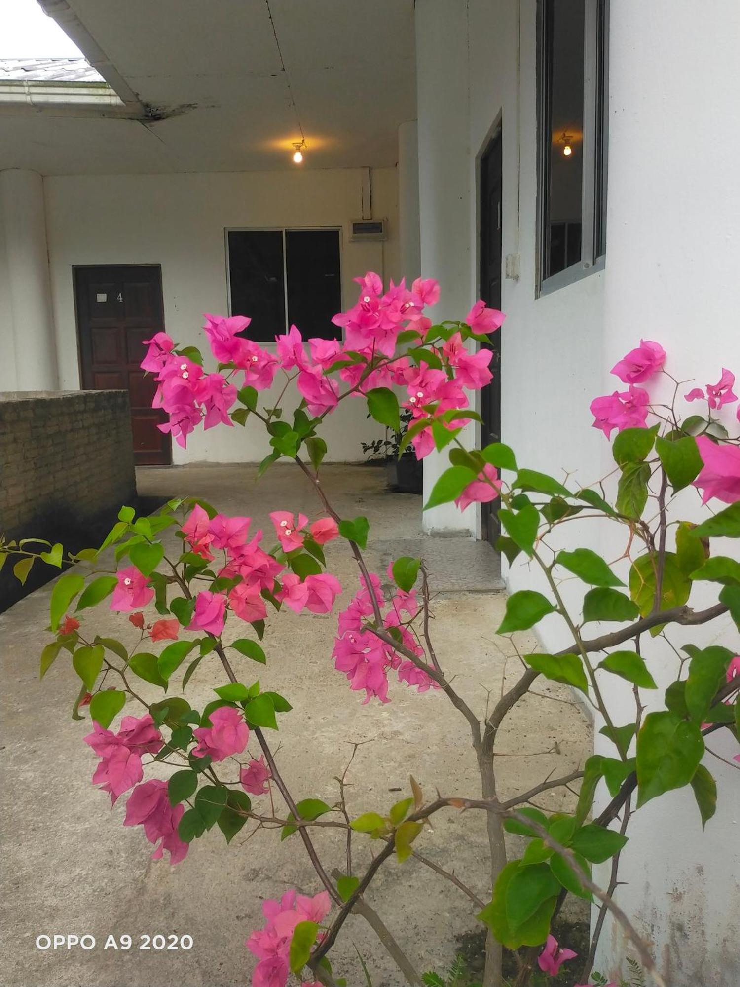 Sukau Tomanggong View Bed & Breakfast Екстер'єр фото