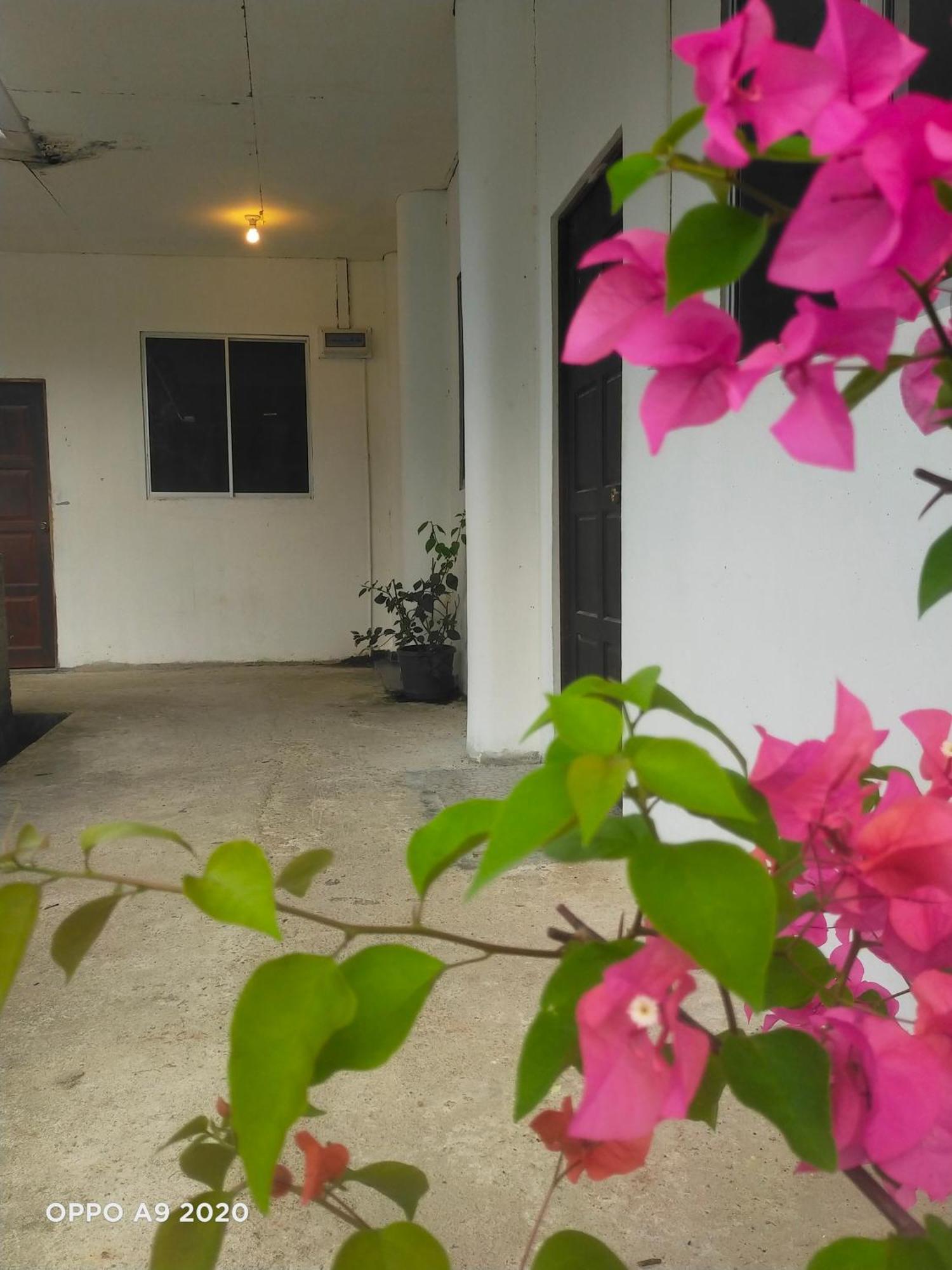 Sukau Tomanggong View Bed & Breakfast Екстер'єр фото