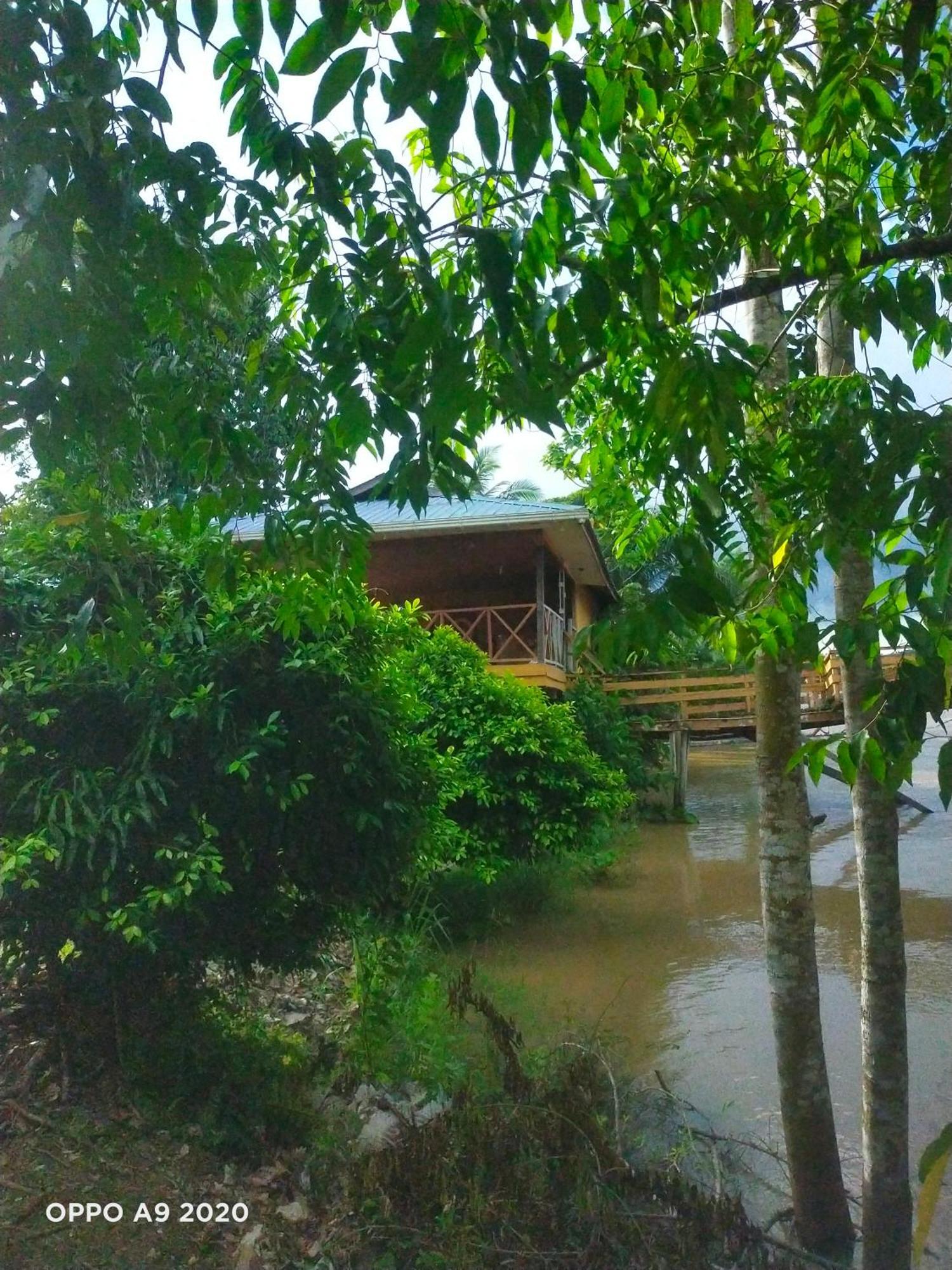 Sukau Tomanggong View Bed & Breakfast Екстер'єр фото